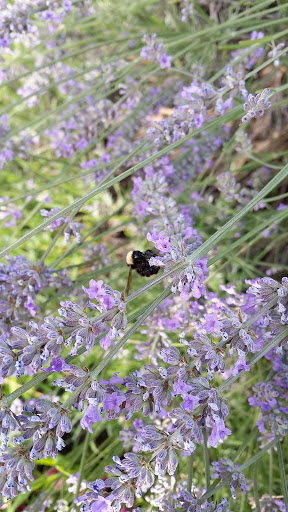 Park «Oxbow Park», reviews and photos, 6430 Corson Ave S, Seattle, WA 98134, USA