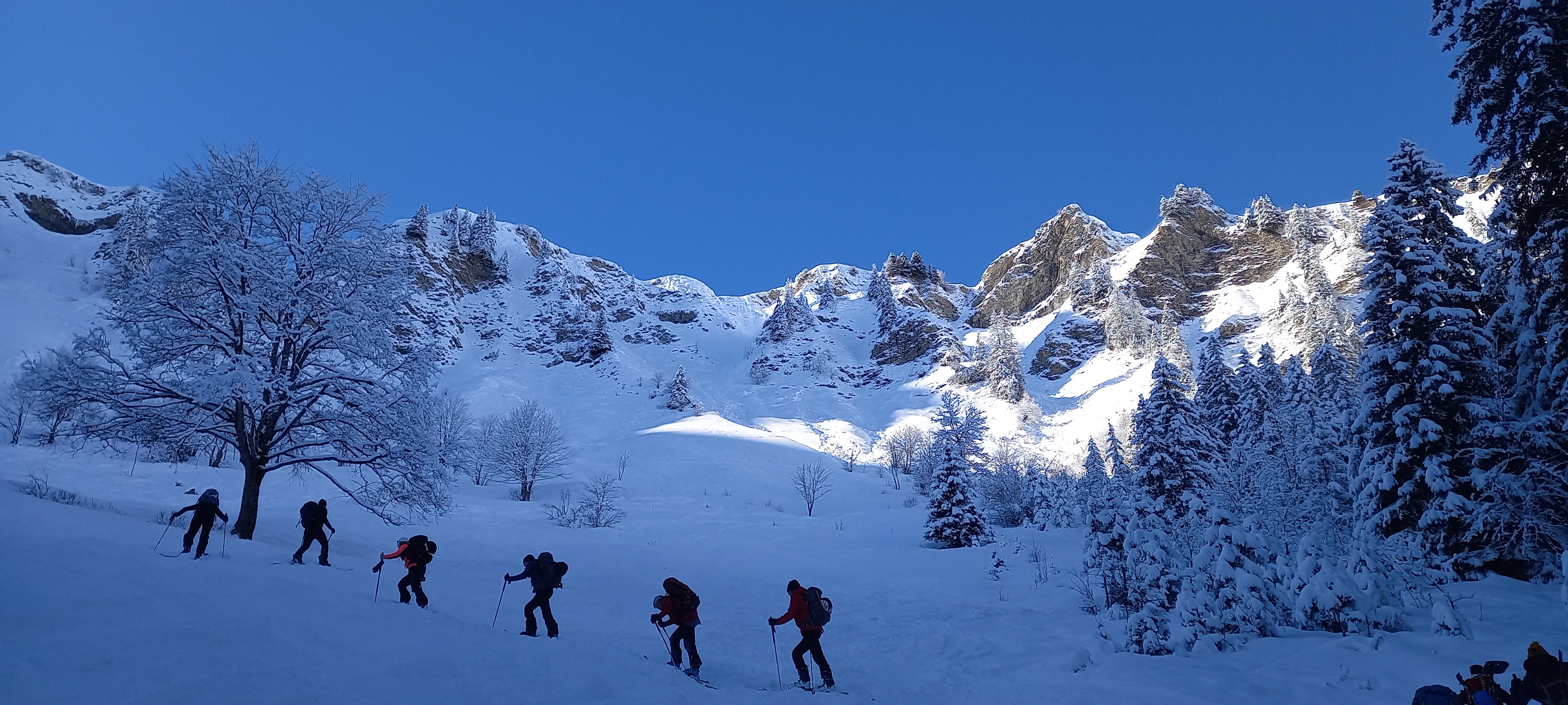 Photo n° 1 de l'avis de S. fait le 21/01/2024 à 15:05