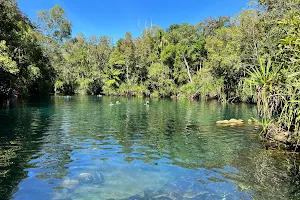 Berry Springs Nature Park image