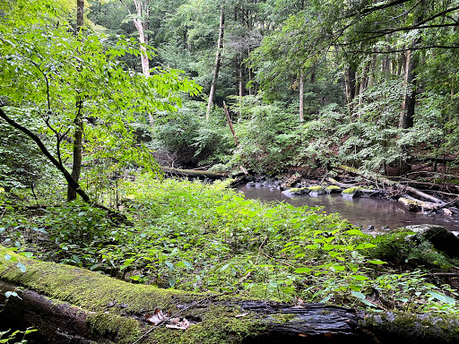 Nature Preserve «Mianus River Gorge Preserve», reviews and photos, 167 Mianus River Rd, Bedford, NY 10506, USA