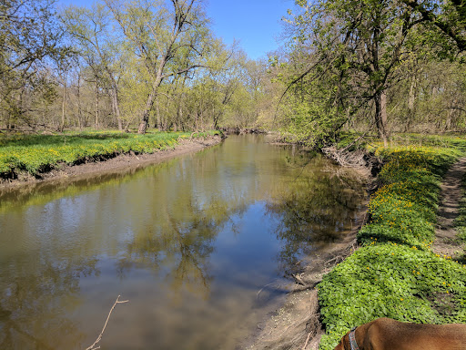 Nature Preserve «Forest Glen Woods», reviews and photos, 5420 N Forest Glen Ave, Chicago, IL 60630, USA