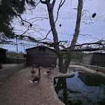 Photo n°12 de l'avis de Alexander.e fait le 22/05/2023 à 22:51 sur le  Agriturismo Scalelle à Otranto