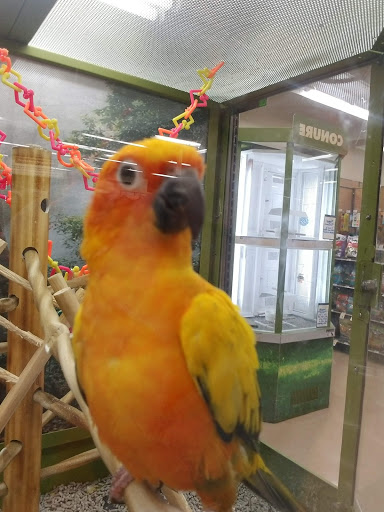 Pet Supply Store «Petco Animal Supplies», reviews and photos, 3055 Columbia Blvd #117, Titusville, FL 32780, USA