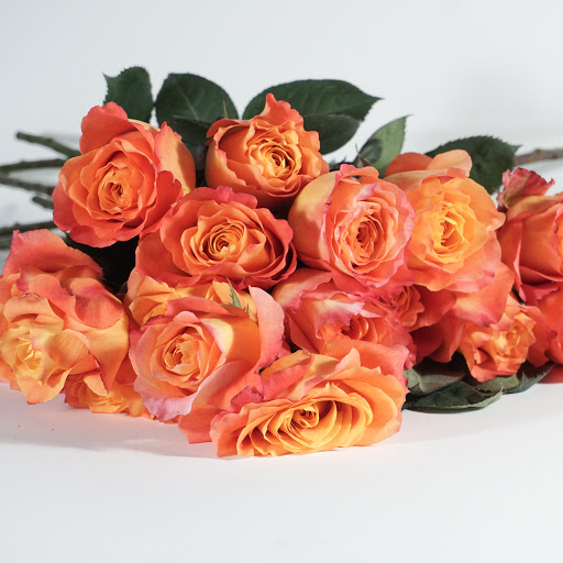 Florist «poppy & pine», reviews and photos, 2501 Dallas St #158, Aurora, CO 80010, USA