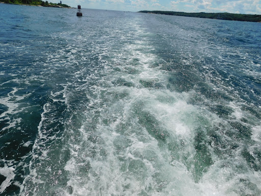 Cruise Agency «Capt. Bill & Sons Whale Watch», reviews and photos, 24 Harbor Loop, Gloucester, MA 01930, USA