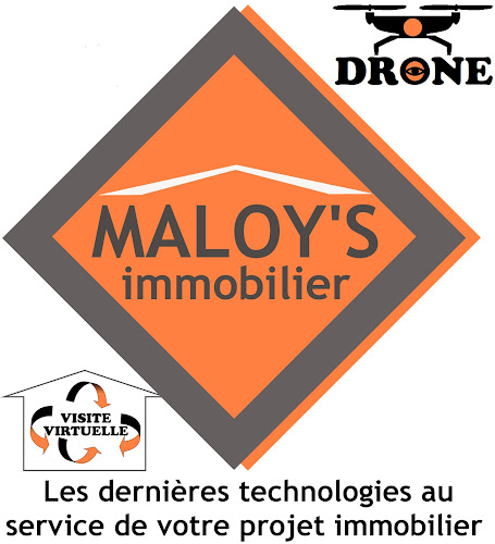 Agence immobilière MALOY'S Immobilier Châtillon d'Azergues