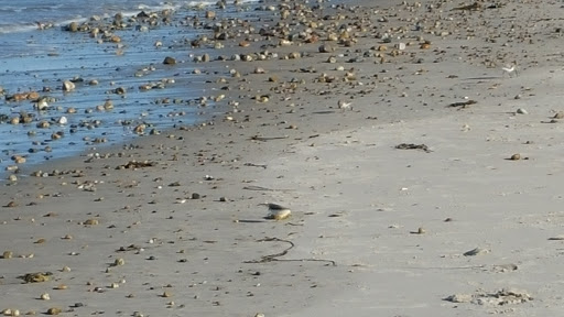 Golf Club «Green Harbor Golf Club», reviews and photos, 624 Webster St, Marshfield, MA 02050, USA