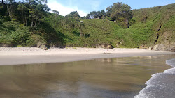 Photo de Playa de Munielles avec un niveau de propreté de très propre