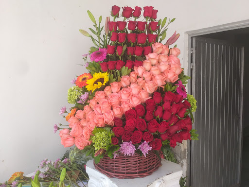 Florería Altamirano – Degollado