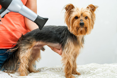 Peluquería Canina Pretty Dog - Servicios para mascota en Cabezón de la Sal