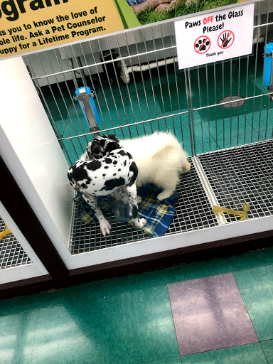 Pet Store «Petland Lewis Center», reviews and photos, 86 Meadow Park Ave, Lewis Center, OH 43035, USA