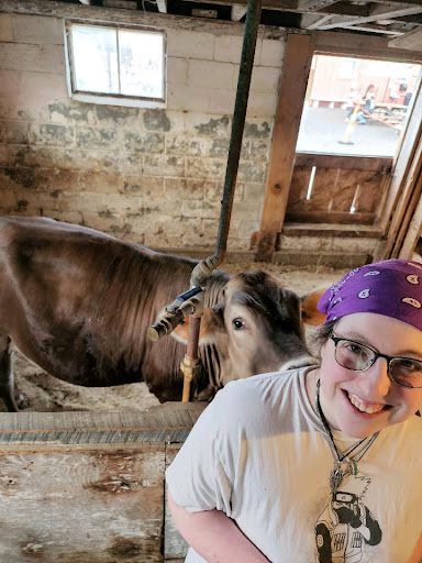 Dairy Farm «Sugar Hill Dairy», reviews and photos, 600 Pleasant St, Bridgewater, MA 02324, USA