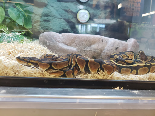 Pet Supply Store «Petco Animal Supplies», reviews and photos, 4840 N Pulaski Rd #100, Chicago, IL 60630, USA