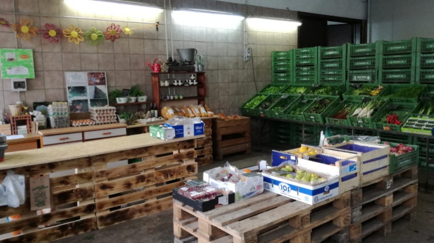 Kiening Gemüsebau GbR