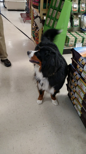 Pet Supply Store «The Hungry Puppy», reviews and photos, 1288 NJ-33, Farmingdale, NJ 07727, USA