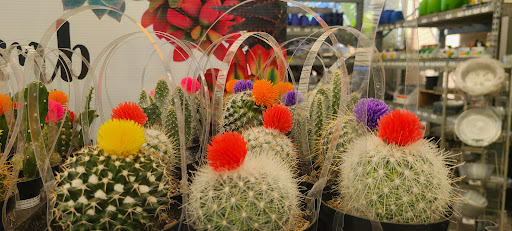 Home Improvement Store «The Home Depot», reviews and photos, 1524 E Brandon Blvd, Brandon, FL 33511, USA