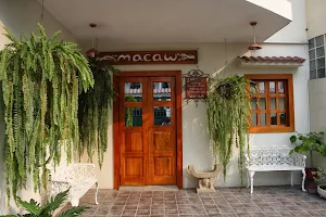 Hostel Macaw image