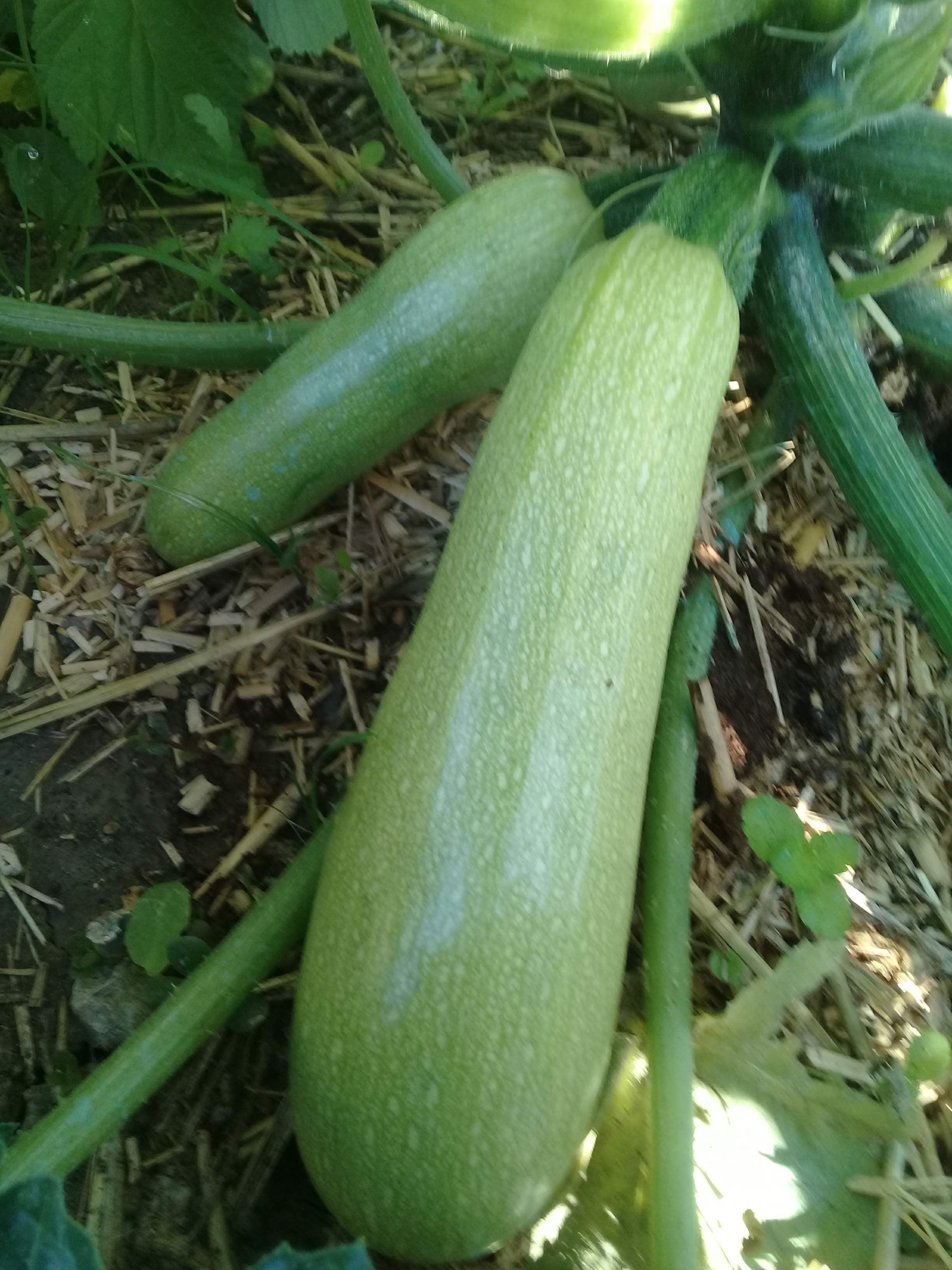 Photo n° 7 de l'avis de catherine.o fait le 01/09/2018 à 16:16