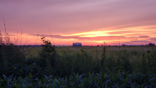 Truck Stop «Sapp Bros Travel Center», reviews and photos, 2496 210th Ave, Percival, IA 51648, USA