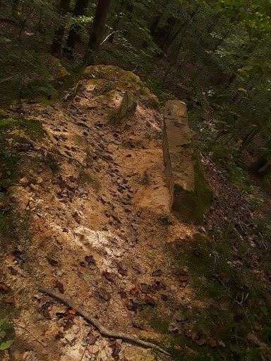 Nature Preserve «Fern Cliff Nature Preserve», reviews and photos, W County Rd 375 S, Greencastle, IN 46135, USA