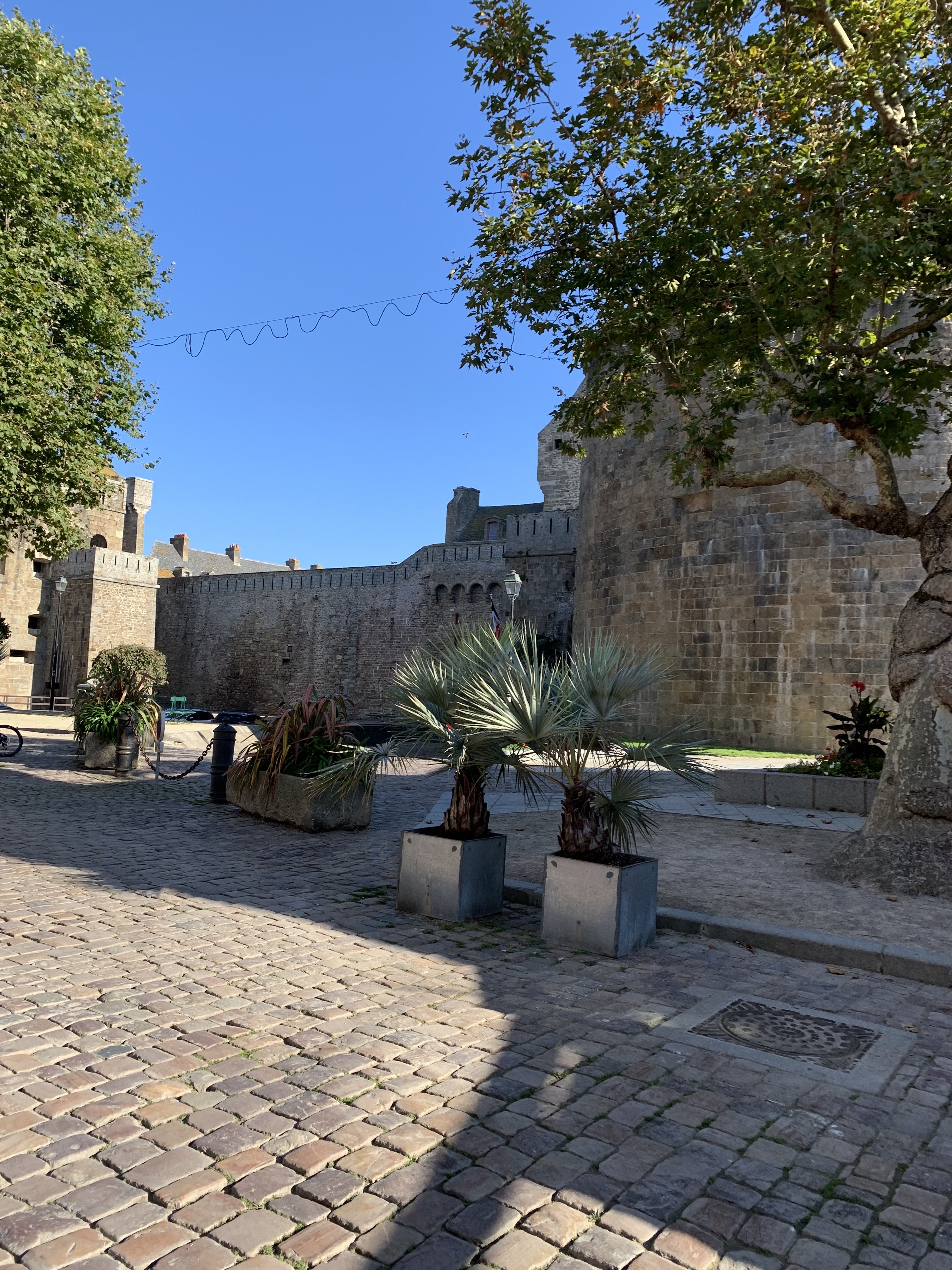 Photo n° 37 de l'avis de vianney.a fait le 16/10/2021 à 13:10