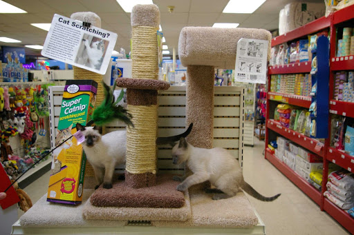 Critters Pet Shop image 7