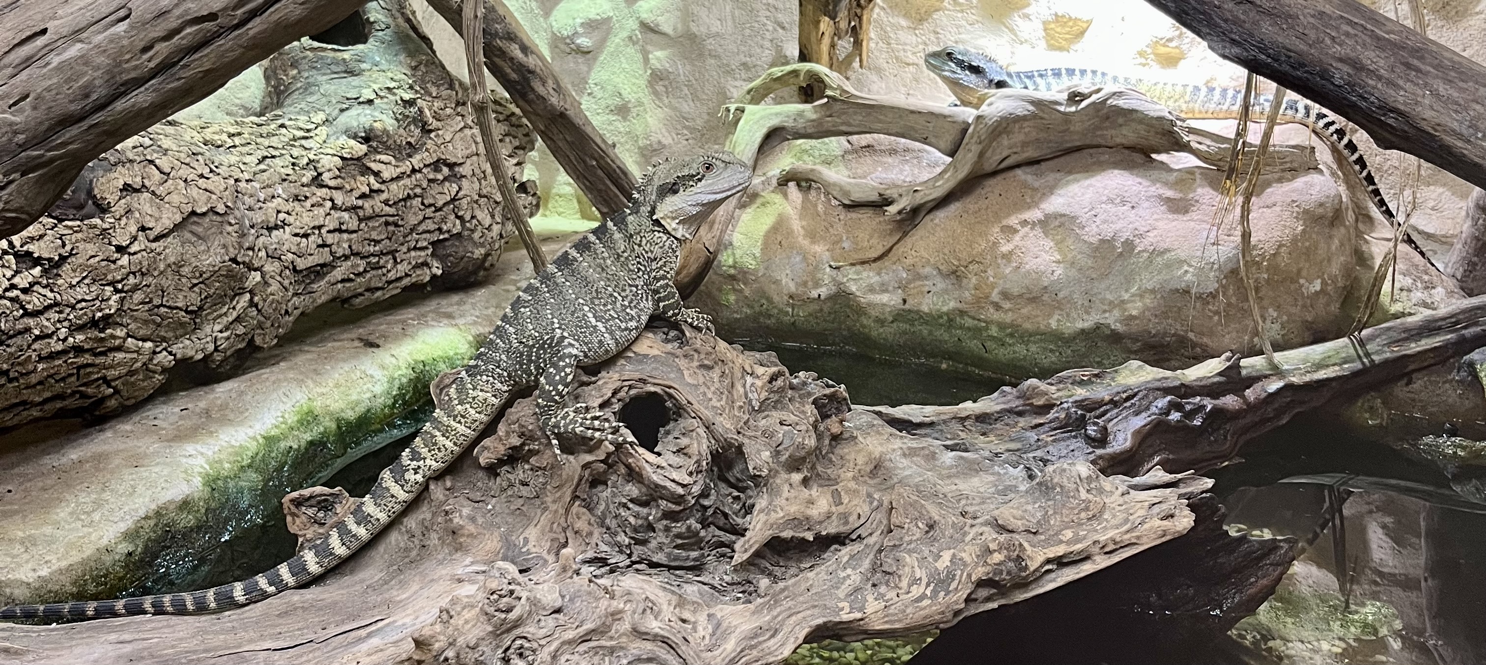 Photo n° 4 de l'avis de Elisa.i fait le 04/11/2023 à 18:33