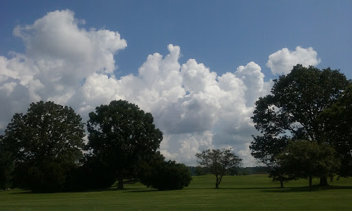 Golf Course «Wilkshire Golf Course», reviews and photos, 10566 Wilkshire Blvd NE, Bolivar, OH 44612, USA