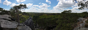 Parc Naturel Régional du Gâtinais Français du Restaurant Auberge De La Dame Jouanne- Le Chalet Jobert à Larchant - n°5