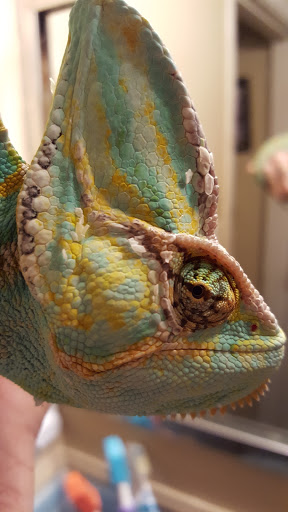 Pet Supply Store «PetSmart», reviews and photos, 300 Water Loop Ln, Collegeville, PA 19426, USA