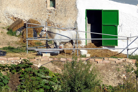 Casa Erizo Barranco de Quiles 29, 04810 Oria, Almería, España