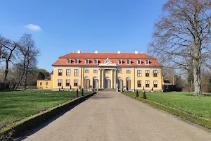 Schloss Mosigkau image