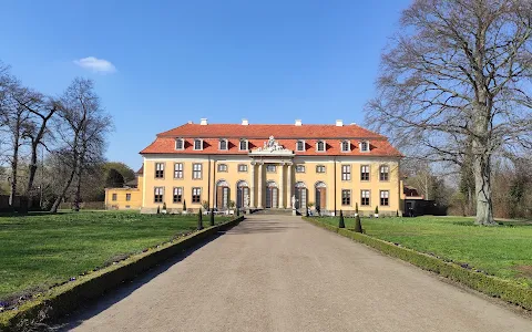 Schloss Mosigkau image