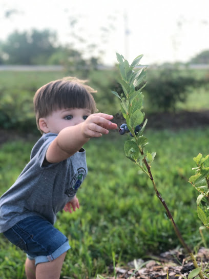 Bridgman's Blueberry Farm