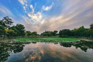 Lotus Pond image