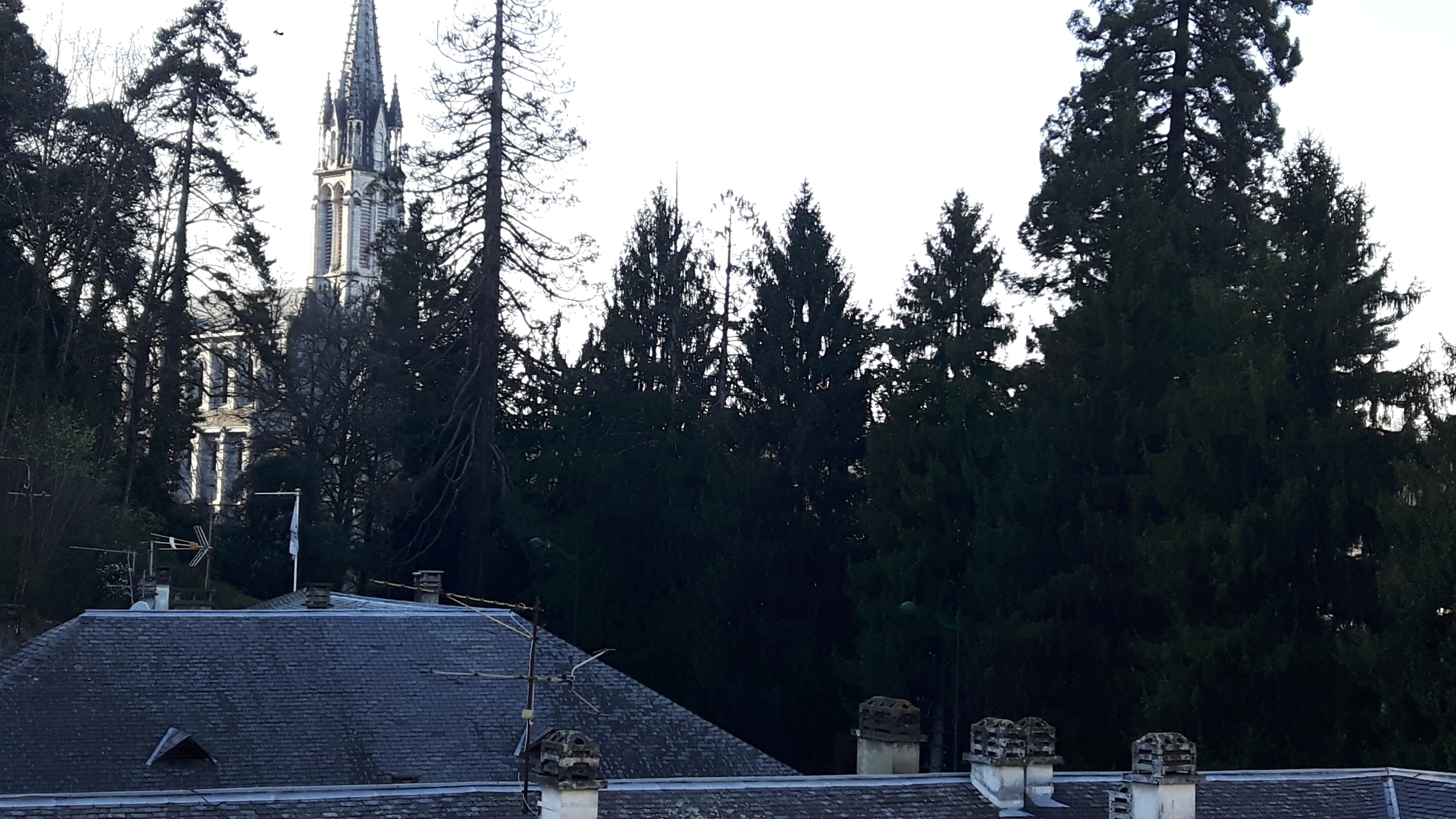 Photo n° 3 de l'avis de Teresa.o fait le 10/03/2017 à 20:04