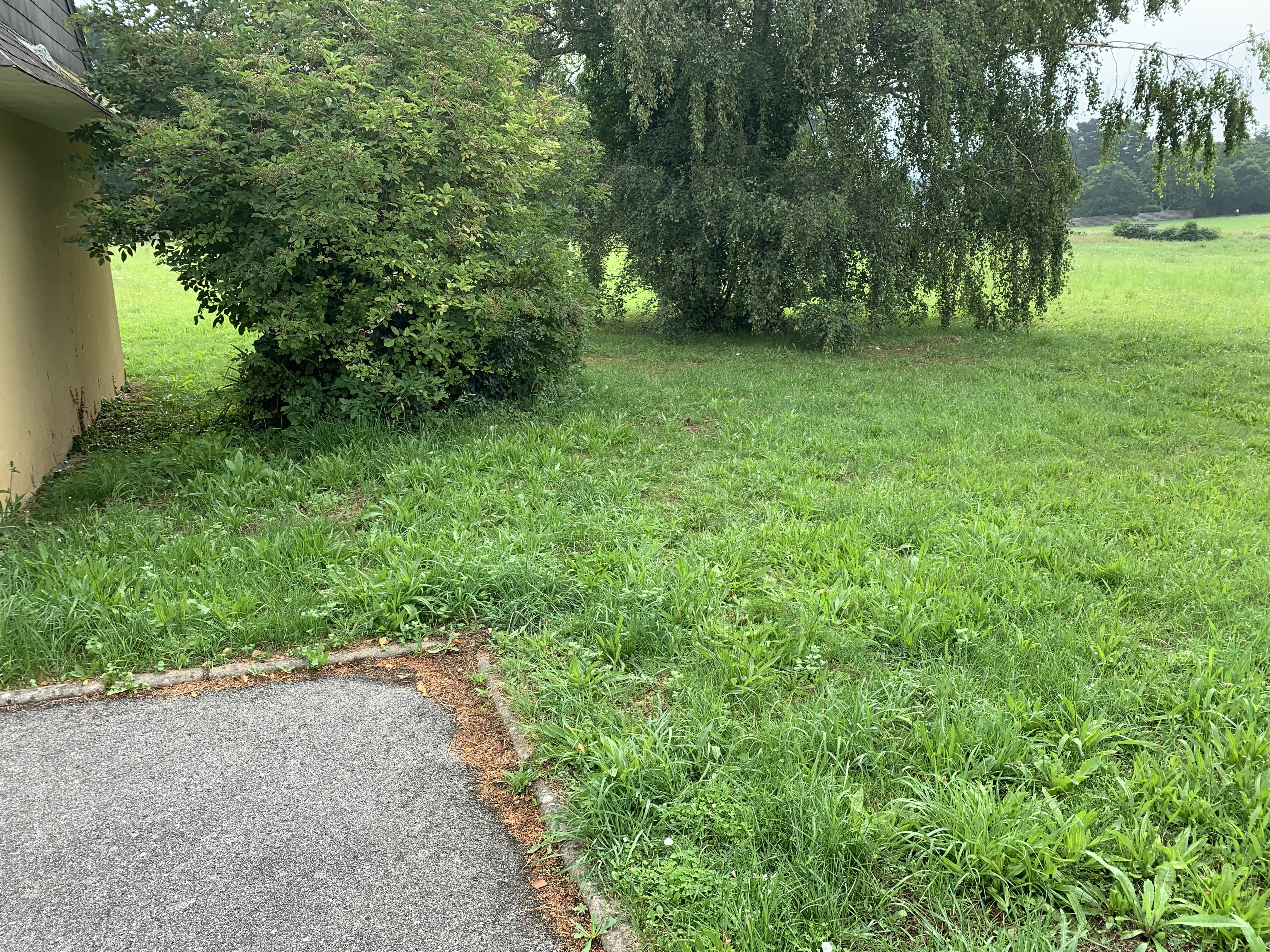 Photo n° 4 de l'avis de Bertrand.a fait le 29/07/2021 à 16:26