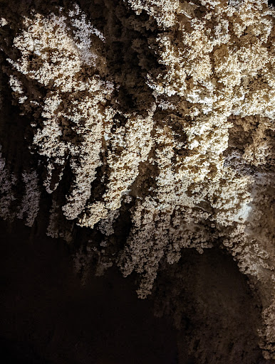 Tourist Information Center «Carlsbad Caverns National Park Headquarters», reviews and photos