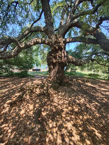 Park «Holmes Park», reviews and photos, Twin Lake Rd, Greenville, SC 29609, USA