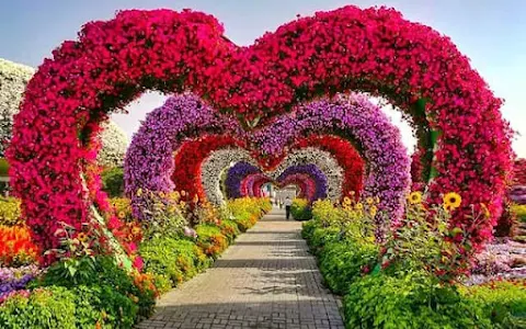 Dubai Miracle Garden image