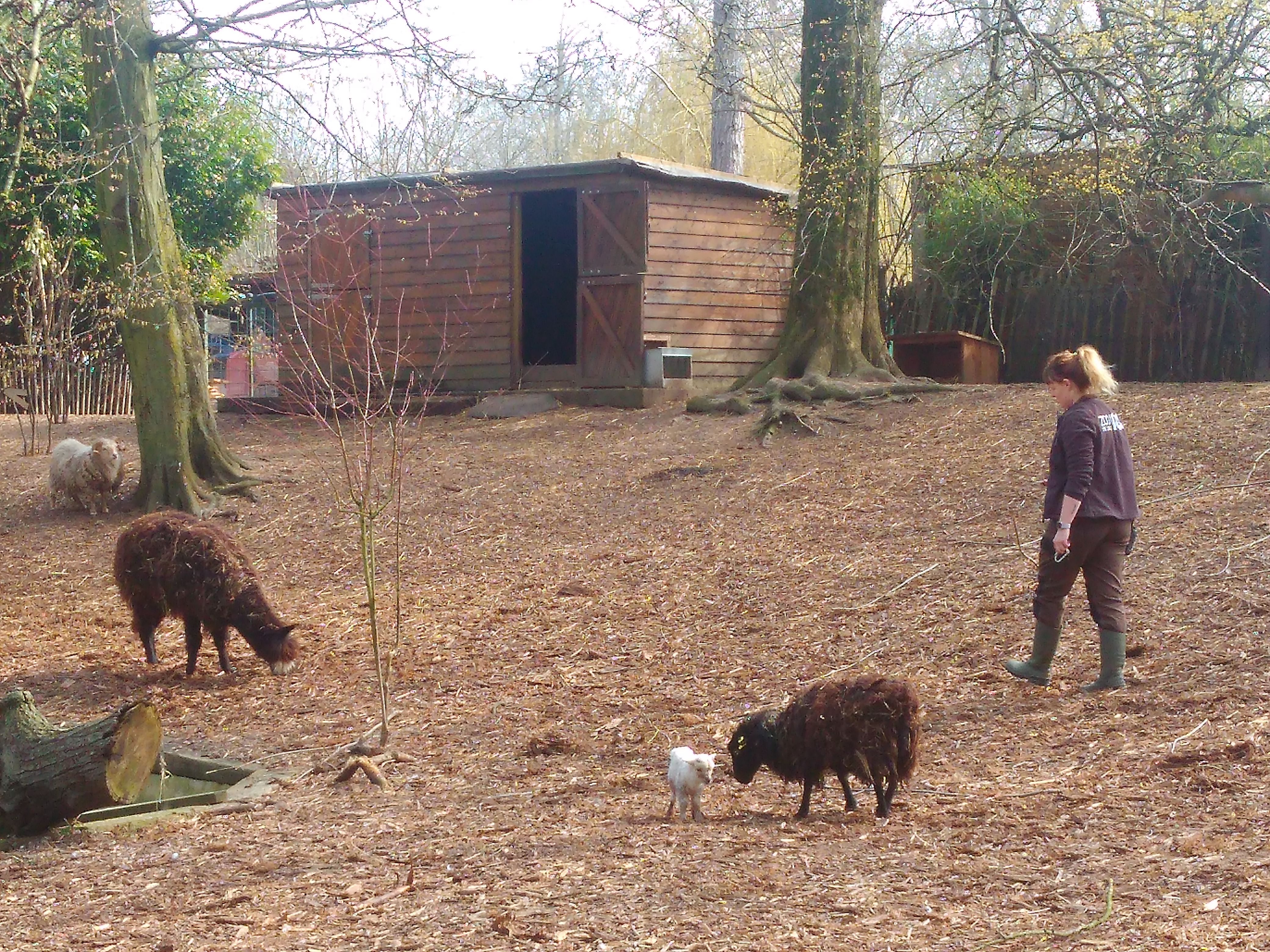 Photo n° 6 de l'avis de Christelle. fait le 31/03/2018 à 11:38