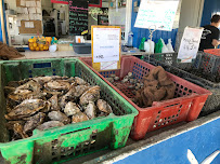 Plats et boissons du Bar-restaurant à huîtres Chez Mamelou à Dolus-d'Oléron - n°7