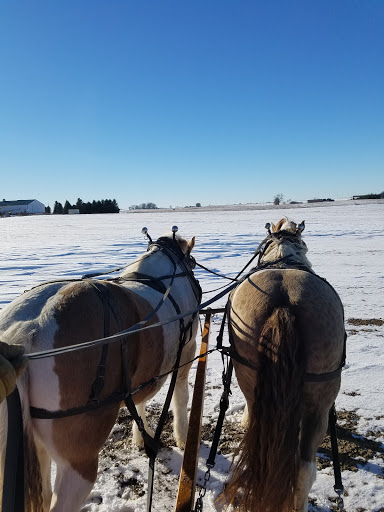 Doubletree Leatherworks in Spring Valley, Minnesota