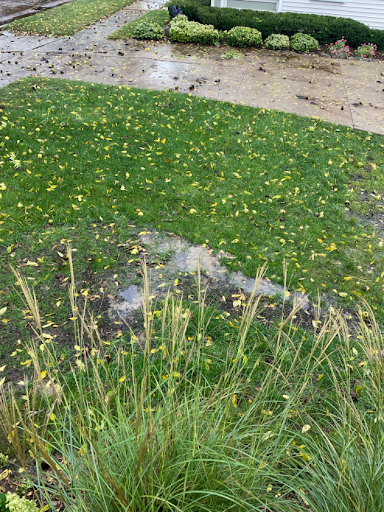 Foundation «Foundation Systems of Michigan», reviews and photos