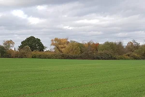 Meßdorfer Feld image