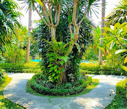 Bali Dream Ubud photo