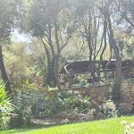 Photo n°6 de l'avis de Davide.a fait le 17/08/2023 à 21:23 sur le  Su Meriacru | Cucina Identitaria à Siniscola