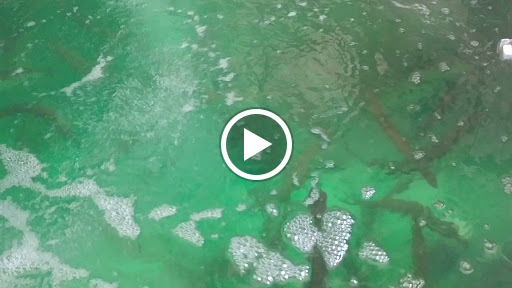 Archery Store «Northern Dutchess Archery», reviews and photos, 7375 S Broadway, Red Hook, NY 12571, USA