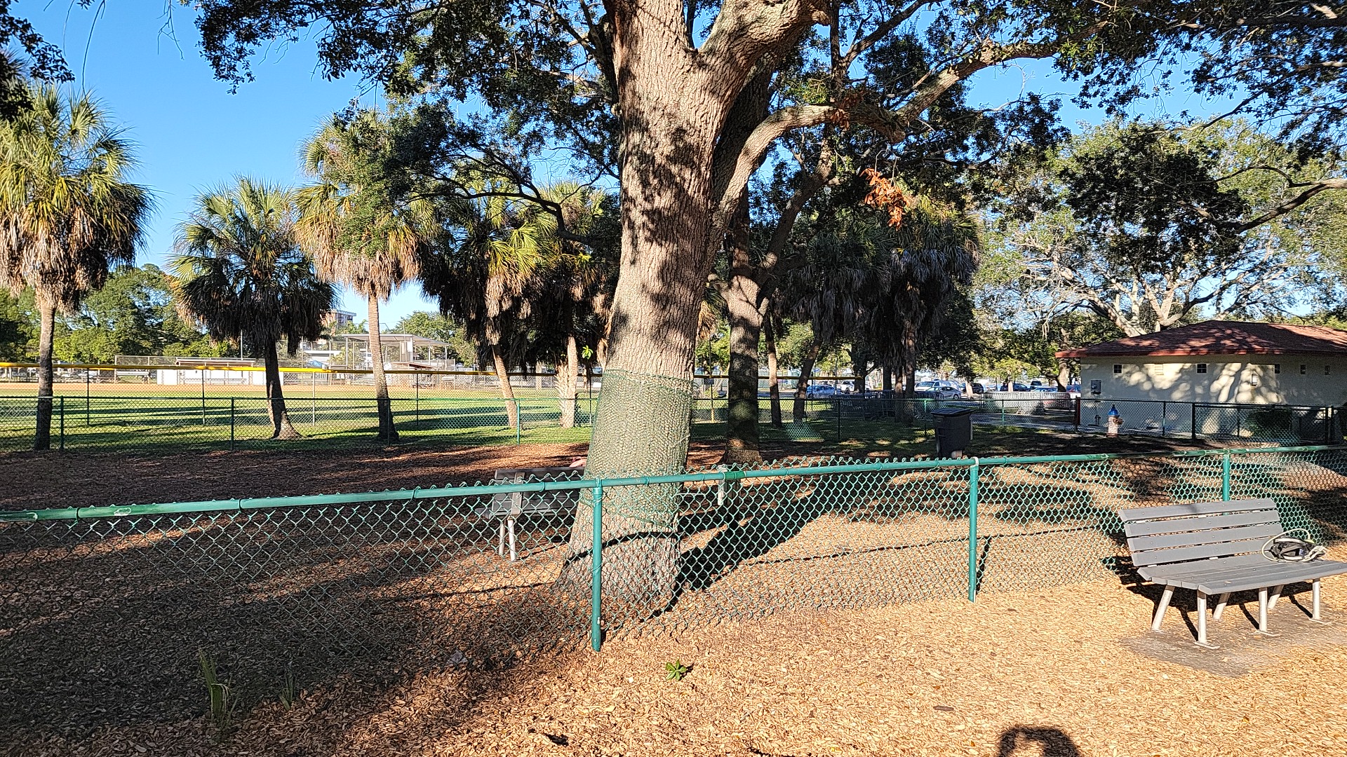 Small Dogs Park at the Vinoy Park of St petersburg - FL
