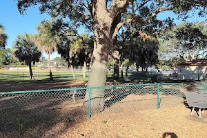 Small Dogs Park at the Vinoy Park of St petersburg - FL image